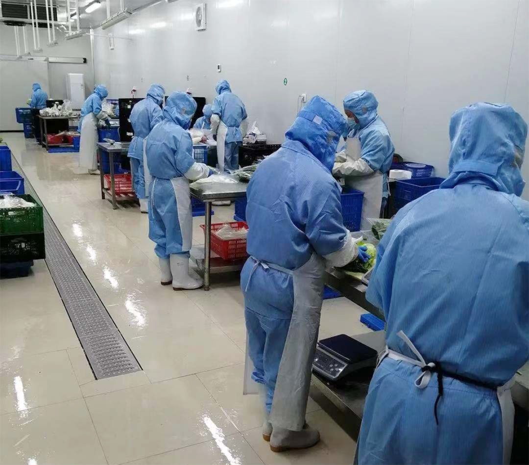 王印 一棵菜成就三产融合的餐饮服务传奇